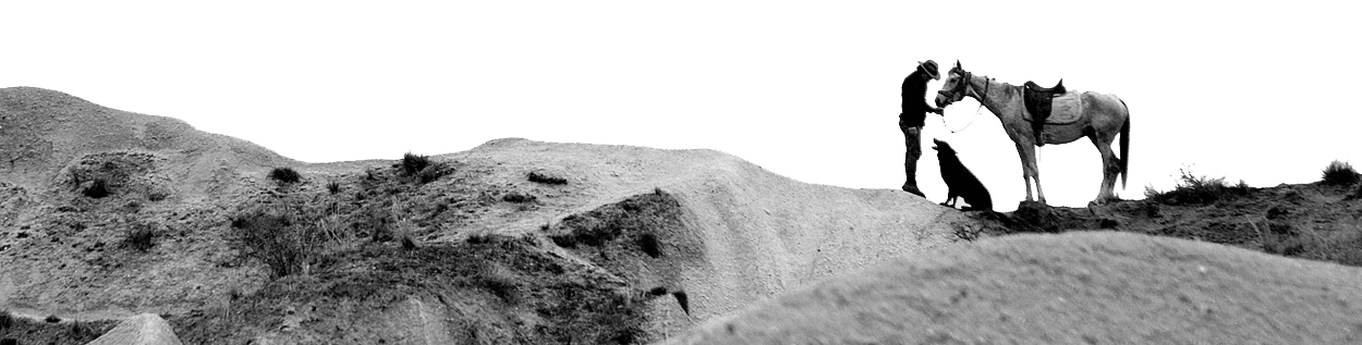 A rocky surface with a male standing holding the brindle of a white horse with a dog sitting in between them looking up at the owner.